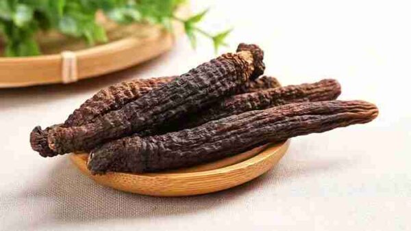 揭秘肉苁蓉淫羊藿保健酒古方,解决勃起困难怎么调理的烦恼!