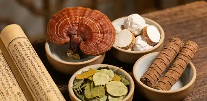 失眠睡不着入睡困难是什么原因引起的?速阳达如何改善睡眠质量插图1 深度解析失眠睡不着有什么好办法入睡,特写速阳达泡酒料中的核心安神配伍:灵芝与茯苓助眠,淫羊藿与肉苁蓉温补肾阳。这种针对心肾不交的药材组合,是中医调理入睡困难的传统智慧体现。